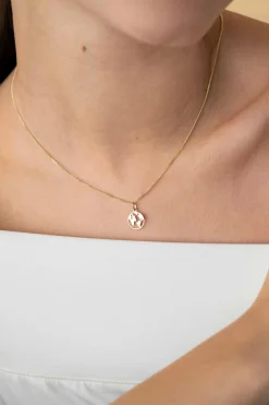 New Zinzi 15mm Gold 14 krt gouden hanger met wereldkaart ZGH474 (zonder collier)
