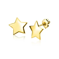 Online Zinzi 5,5mm Gold 14 krt gouden ster oorstekers 5,5mm ZGO315