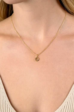 Clearance Zinzi 9mm gold plated zilveren Kreeft sterrenbeeldhanger bezet met witte zirconia ZIHY-KRE (zonder collier)