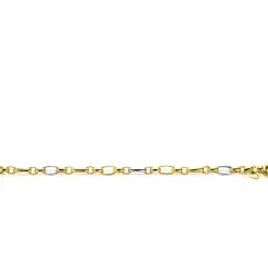 Online Zinzi bicolor schakelarmband (7mm breed) met afwisselend gold plated jasseron schakels en grote zilveren ovale schakels 19cm ZIA2639