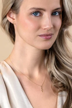Discount Zinzi Gold 14 karaat gouden hanger met glimmende bliksemschicht 18mm ZGH402 (zonder collier)