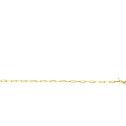 Zinzi Gold 14 krt gouden armband met trendy paperclip/closed for ever schakels 3mm breed, lengte 19cm ZGA346
