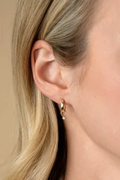 Clearance Zinzi Gold 14 krt gouden oorbedels bezet met een kleine ronde zirconia 2,5mm ZGCH420 (zonder oorringen)