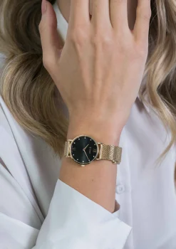 Online Zinzi Lady Crystal horloge zwarte wijzerplaat, geelgoudkleurige kast en stalen mesh band, witte crystals bij uuraanduiding, 28mm ZIW643M