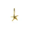 Best Zinzi zilveren hanger geel verguld zeester ZIH2064G (zonder collier)