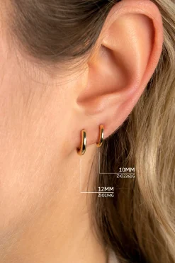 Discount Zinzi zilveren oorringen geel verguld 12 x 2mm ZIO194G