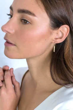 Best Zinzi zilveren oorstekers in 14K geel verguld met staafje 26mm ZIO2099G