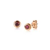 Clearance Zinzi zilveren rosé vergulde oorknoppen 4mm rode kleursteen ZIO1177RR